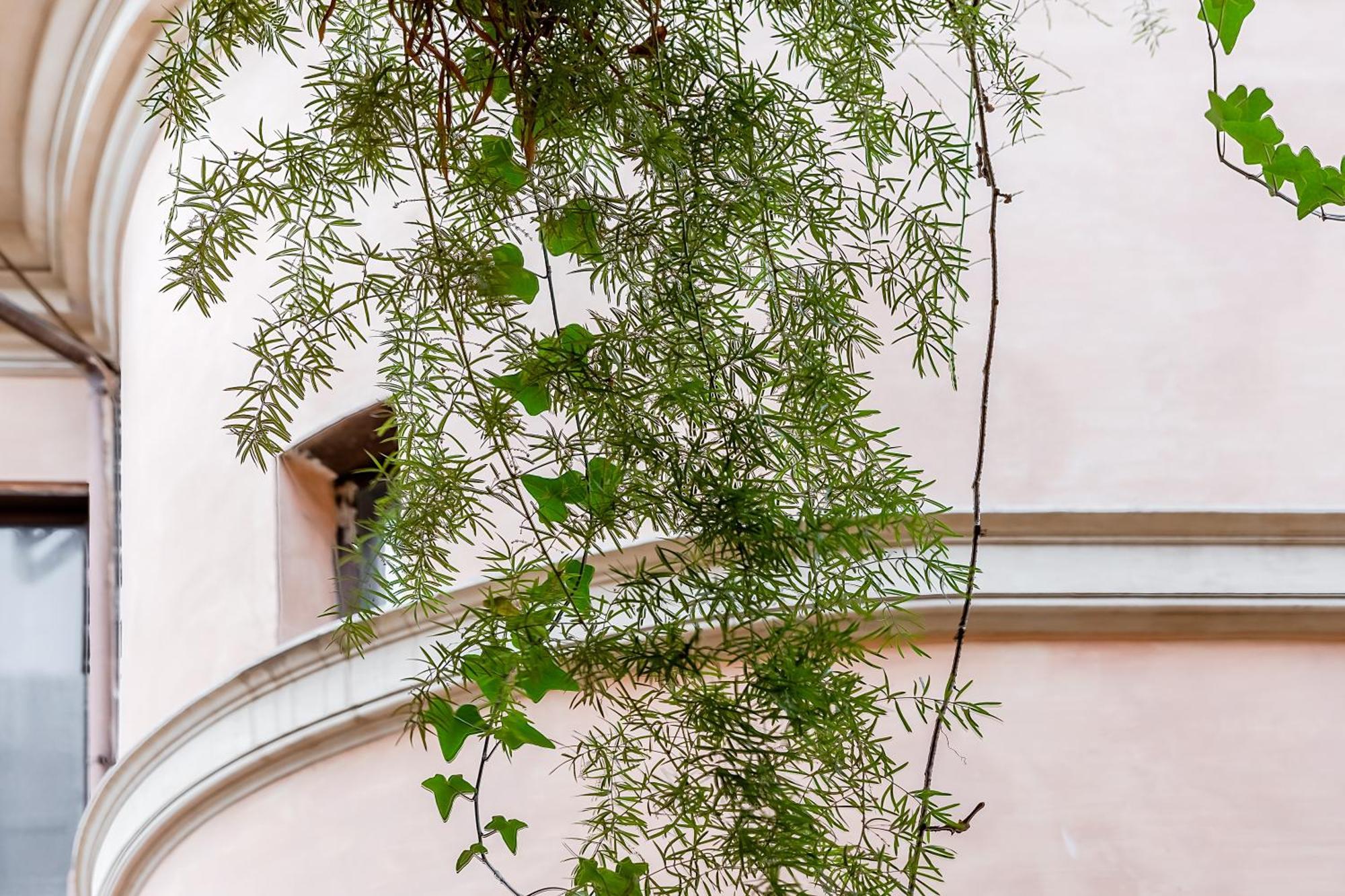 Trevi Fountain Stylish Guest House Rome Exterior photo